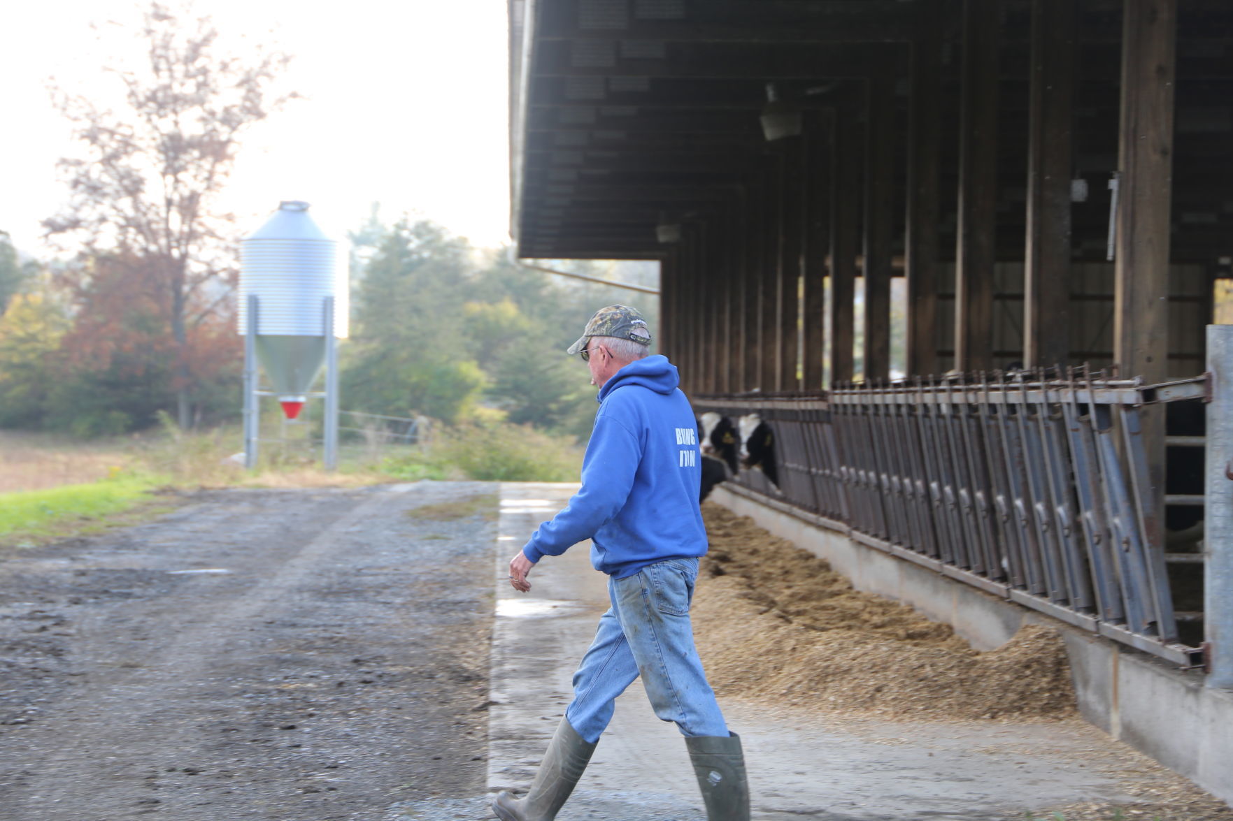 Hollister Brothers Farm